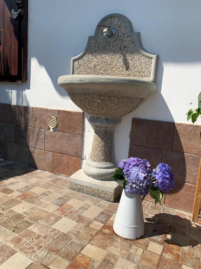Maison Diletta Castelletto sopra Ticino Eksteriør bilde